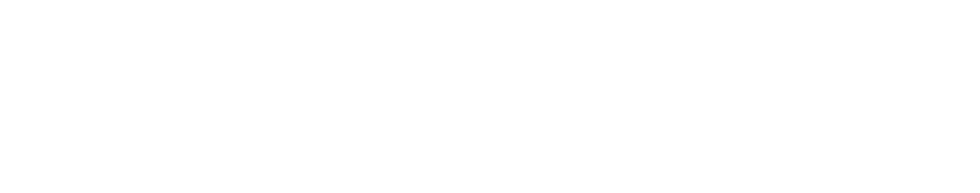 Fool Fighters